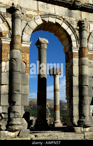 Ruines du mur dans l'ancienne ville romaine de Volubillis, Meknès, Maroc, Afrique du Nord Banque D'Images