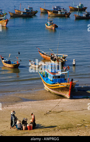 Pêche - Chabor de Mui Ne, Vietnam, Asie Banque D'Images