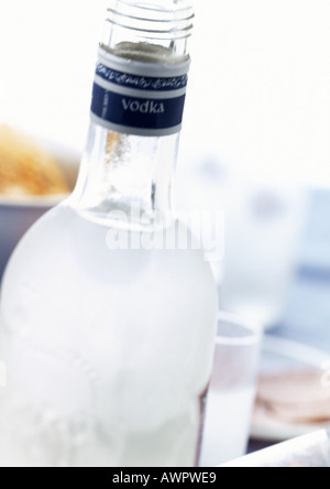 Bouteille de vodka, close-up Banque D'Images