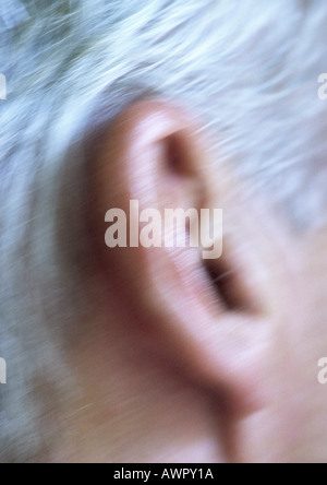 Man's ear, extreme close-up, blurred Banque D'Images