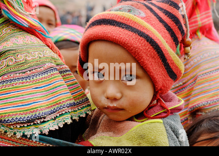 Tribu de montagne de l'enfant Hmong Fleurs, Ha Giang, Province du nord du Vietnam Banque D'Images