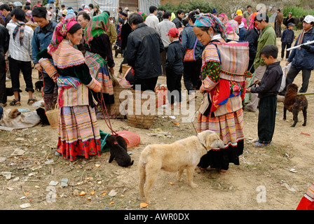 Le marché des animaux de Bac Ha, Ha Giang, province du nord du Vietnam Banque D'Images