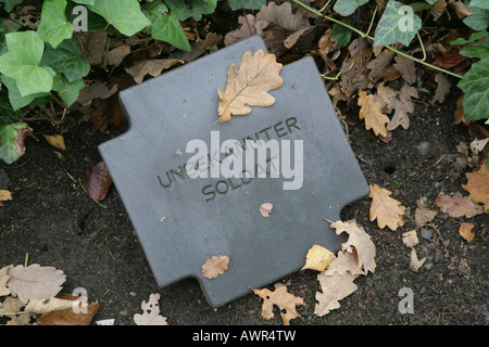 Tombe d'un soldat inconnu Banque D'Images