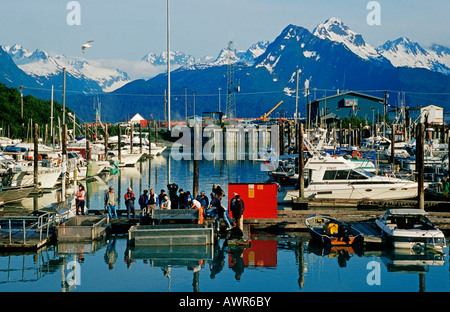 Port Valdez, Prince William Sound, Alaska, USA Banque D'Images