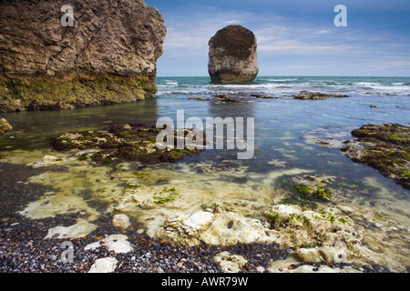 Les corniches des falaises de craie et de la mer, l'eau douce Bay, île de Wight Banque D'Images