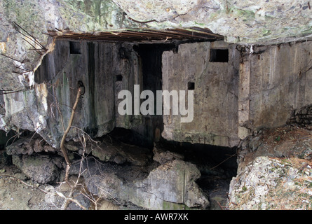 Ligne Molotov , bunker après explosion , East Roztocze Region Pologne Europe Banque D'Images
