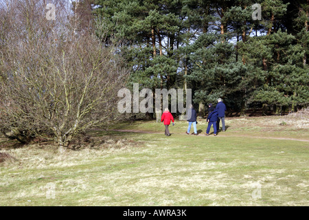 Les promeneurs sur Cannock Chase, Staffordshire Banque D'Images