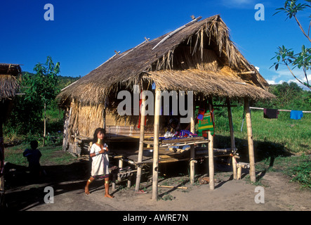 1, 1, fille Karen padaung, long cou, bagues de centrage en laiton, accueil sur pilotis, maison sur pilotis, la province de Chiang Mai, Thaïlande, Asie du Sud, Asie Banque D'Images