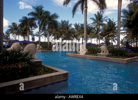 Piscine d'eau douce, piscine, Ritz-Carlton San Juan Hotel Spa and Casino, The Ritz-Carlton San Juan Hotel, Isla Verde, Puerto Rico, Caroline Banque D'Images
