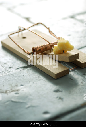 Mousetrap et fromage Banque D'Images