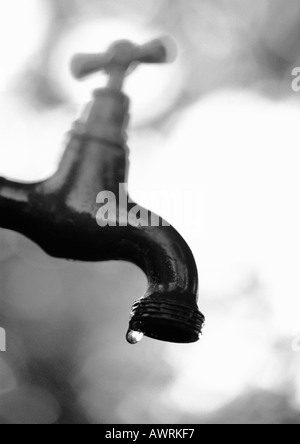 Robinet d'eau, vue latérale, b&w. Banque D'Images