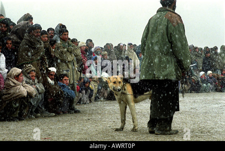 Un homme avec son chien sont en attente pour participer à la lutte contre les chiens traditionnels à Kaboul, Afghanistan Banque D'Images