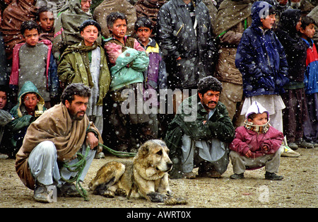 Un homme avec son chien sont en attente pour participer à la lutte contre les chiens traditionnels à Kaboul, Afghanistan Banque D'Images