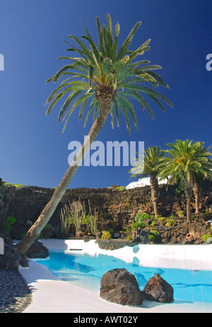 LANZAROTE MANRIQUE La piscine turquoise à Jameos del Agua de palmiers et plantes tropicales Lanzarote Iles Canaries Espagne Banque D'Images