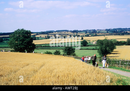 Bosworth Field Visitor Trail Leicestershire bataille bataille anglais médiéval histoire le roi Richard 3ème champs de maïs Banque D'Images