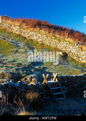 Une échelle en bois stile traversant un mur de pierres sèches sur un matin glacial sur mur d'Hadrien, sentier national dans le Parc National de Northumberland, Angleterre Banque D'Images