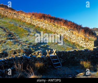 Une échelle en bois stile traversant un mur de pierres sèches sur un matin glacial sur mur d'Hadrien, sentier national dans le Parc National de Northumberland, Angleterre Banque D'Images