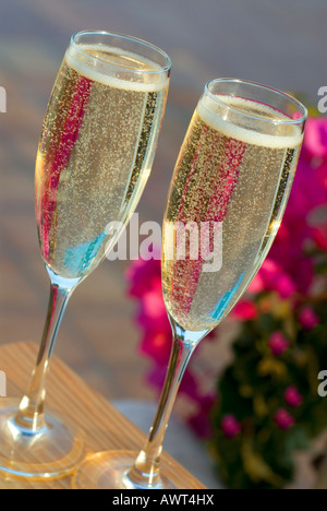 Soleil fraîchement coulé deux verres de champagne sur une table avec des fleurs de bougainvilliers derrière Banque D'Images