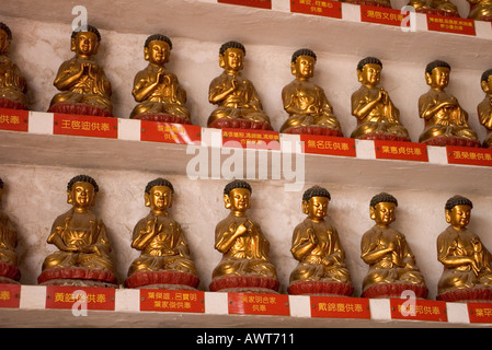 Dh dix mille bouddhas Monastery HONG KONG SHATIN rangées de petites statues de Bouddhas sur selved mur à l'intérieur de temple 10000 Banque D'Images