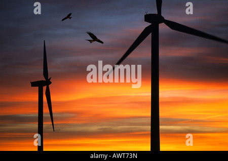 Ferme éolienne. Red Kite oiseaux près des turbines. Banque D'Images