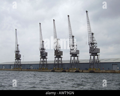 Grues de quai de Southampton, Hampshire, England, UK Banque D'Images