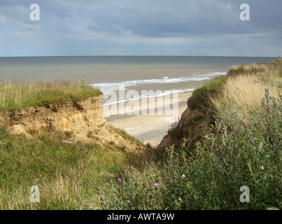 Falaises de sable qui souffrent de l'érosion côtière entre Covehithe et Benacre Suffolk, Angleterre, RU Banque D'Images