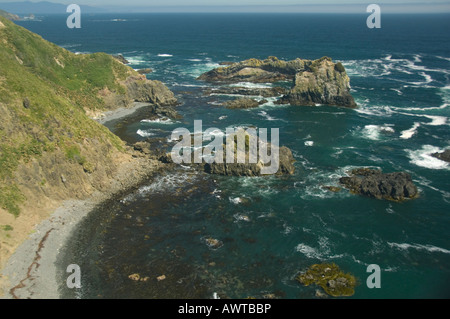 Côte du Pacifique, l'habitat côtier de loutre de rivière (Lontra felina) ou en voie de disparition, Chungungo, Ile de Chiloé, Chili Banque D'Images