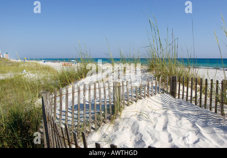 Dunes de sable et de clôtures en bois plantés d'herbes aident à garder sur les plages de sable et offrent un habitat de nidification des tortues de mer Banque D'Images