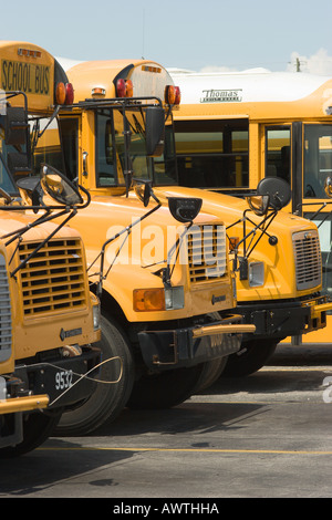 Une variété de différents types d'autobus scolaires remplir le lot en attente d'être expédié aux écoles Banque D'Images