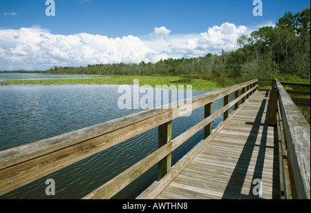 Vue sur le bâtiment à l'horizon des nuages à partir de la plate-forme d'observation au lac Deaton en Floride Centrale Banque D'Images