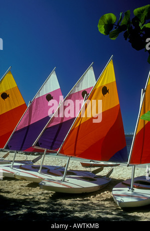 Voiliers sur la plage Negril Jamaïque Banque D'Images