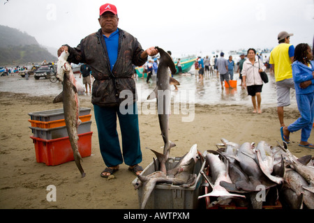 Pêcheur avec 2 requins-marteaux sur beach Puerto Lopez Equateur Amérique du sud du port de pêche Banque D'Images