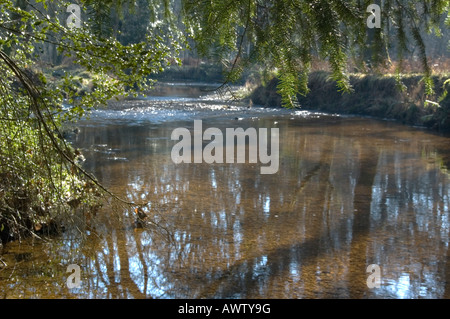 Poundhill Blackwater Enceinte Rhinefield Ornimental en voiture la nouvelle forêt Hampshire England UK Banque D'Images