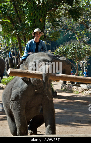 La formation de l'éléphant avec log Conservation Centre Amphoe Hang Chat Lampang Thaïlande Banque D'Images