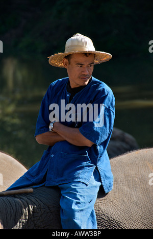 Mahout portrait sur la conservation de l'éléphant Amphoe Hang Chat Centre de Lampang Thaïlande Banque D'Images