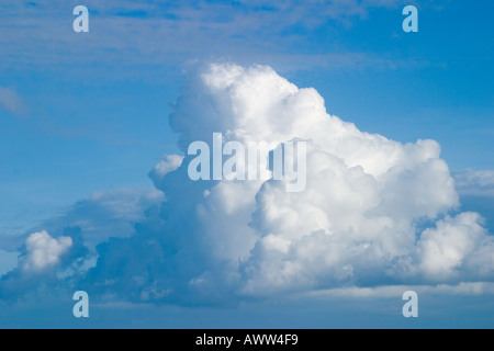 La formation de nuages Cumulus Banque D'Images