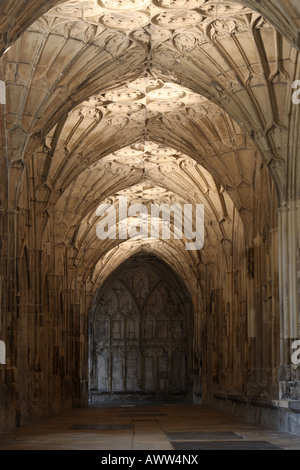 Le Cloître de la cathédrale de Gloucester, Angleterre Banque D'Images