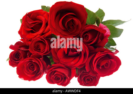 Bouquet de roses rouges, close-up Banque D'Images