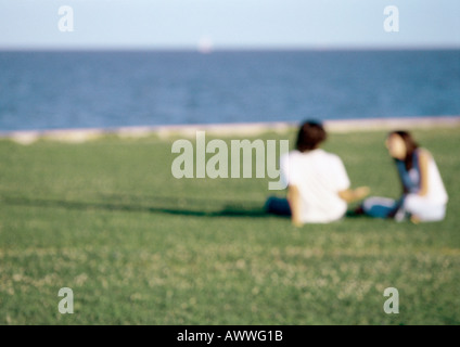 Jeune couple assis ensemble dans l'herbe par océan, blurred Banque D'Images