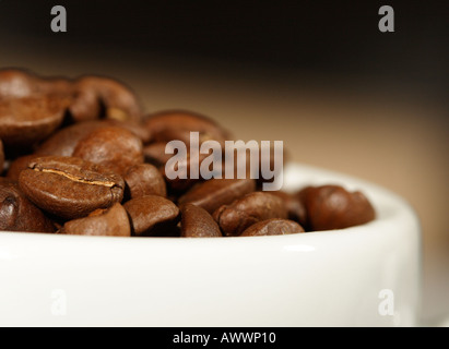 Les grains de café torréfiés sur un fond sombre Banque D'Images