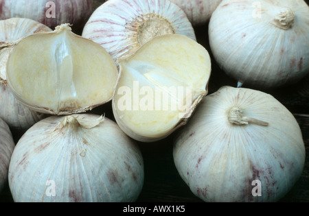 L'ail des bois, l'ail éléphant (tubercules, une saucisse végétarienne traditionnelle galloise) Banque D'Images