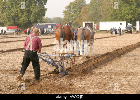 56e championnats nationaux britanniques de labour, Loseley Park, Guildford, Surrey, Octobre 2006 Banque D'Images