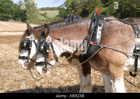 Loseley Park de labour et Country Fair Septembre 2006 Banque D'Images