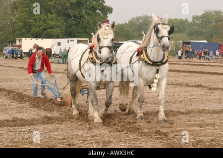 56e British National Ploughing Championships, Loseley Park, Guildford, Surrey, Octobre 2006 Banque D'Images