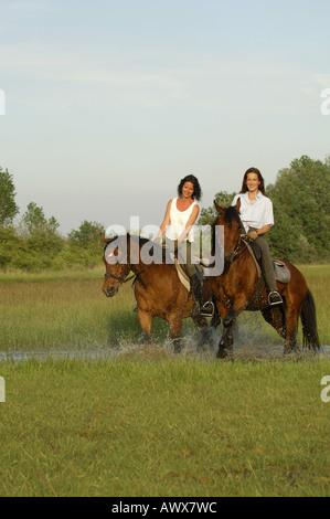 L'équitation dans la nature, la Hongrie, la Puszta Banque D'Images