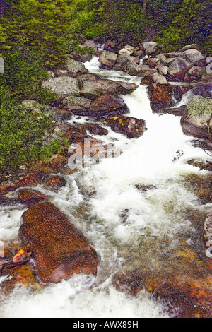 Image artistique altérées de creek qui traverse Payette National Forest près de McCall, New York Banque D'Images