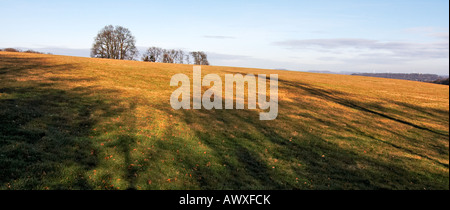 Paysage rural d'un champ agricole en haut de la colline au cours de l'hiver sans neige Banque D'Images