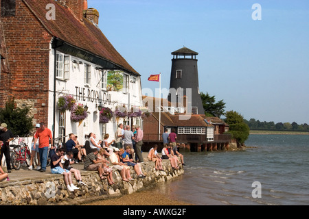 Chêne Royal nr Langstone Hayling Island Hampshire UK Banque D'Images