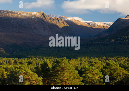 La note de Lairig Ghru vue à travers la forêt dans les Cairngorms Rothiemurchus, Ecosse Banque D'Images