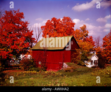 Dans la région de Peacham dans le Vermont aux Etats-Unis l'automne offre un superbe feuillage rouge à l'érable dans un cadre rural avec grange rouge Banque D'Images